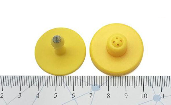 動(dòng)物耳標(biāo)大小